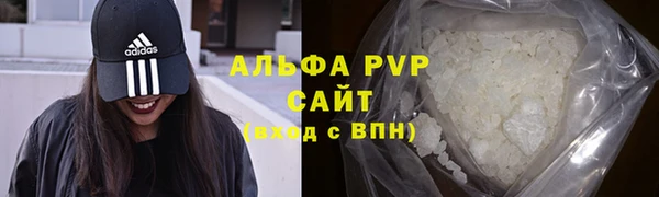 jwh Ладушкин