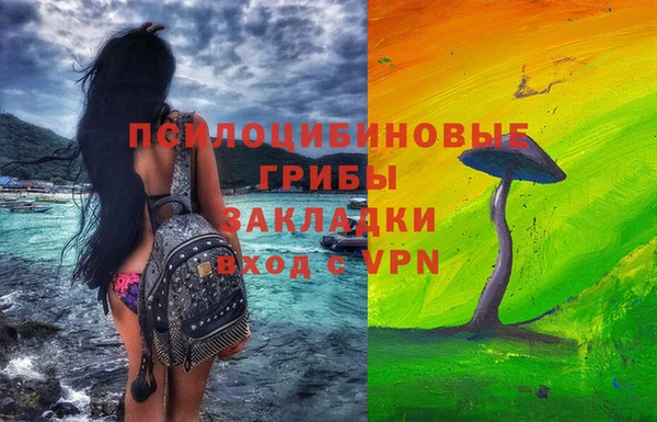 сатива Лагань