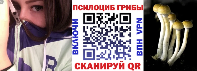 Купить закладки  Прокопьевск  Галлюциногенные грибы Cubensis 